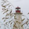 Shipwreck Point Lighthouse